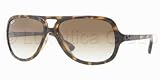 Lunettes de soleil Ray Ban RB 4162