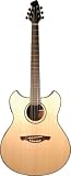Wechter Model 3135-3B Deluxe Pathmaker Guitar