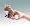 Mini Fox Image #1