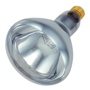 Bulbrite 714025 250BR40H Heat Lamp Light Bulb by 