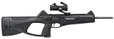 Beretta CX-4 Storm and PS22 Dot Sight air rifle
