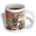 Dogs German Shepherd - German Shepherd - Mugs