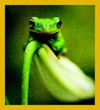 Waiting for a Home Bookmark