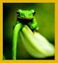 Waiting for a Home Bookmark