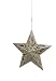 8" Seasons of Elegance 5-Point Gold Glitter Star Christmas Ornament