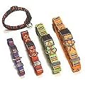 Hundeleine und Halsband mit indianischem Muster - Tonka