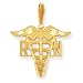 14k Registered Nurse Charm