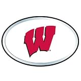 Wisconsin Badgers Color Auto Emblem