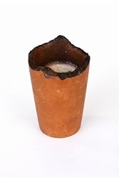 Golden Delicious Apple Soy Candle, Terra Vasa Ceramic Pot (Small Round)