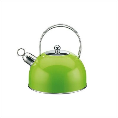 Classic Color Stainless Steel Kettle in Green