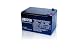 Wheelock 12V 12AH Battery