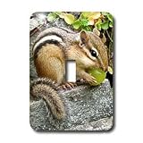 Wild animals - Chipmunk - Light Switch Covers - single toggle switch