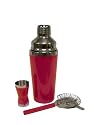 Global Decor Stainless Steel Red Martini Shaker Set