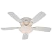 Hunter 23910 Low Profile Plus 48-Inch 5-Blade Single Light Ceiling Fan, White with Bleached Oak/White Blades and Frosted Glass Bowl