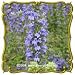 Great Blue Lobelia (Lobelia siphilitica) Jumbo Wildflower Seed Packet (2000)