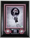 Atlanta Falcons Team Pride Photomint