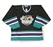 Syracuse Crunch American Hockey League Youth Replica Jersey