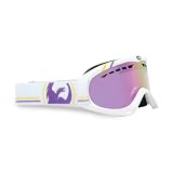 Dragon DX Goggles