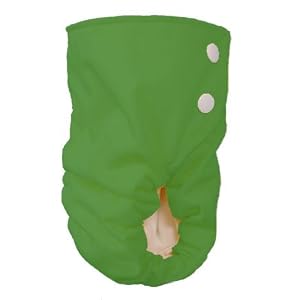 Click to buy Bottombumpers Certified Organic One Size Side Snapping All-in-One Diapers from Amazon!
