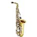 Eldon EAS410LN Eb Alto Saxophone