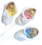 Chocolate Baby Lollipops Shower Favor