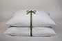 Full Fill White Goose Down Standard Pillow