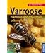 Varroose - erkennen und erfolgreich behandeln