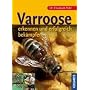 Varroose - erkennen und erfolgreich behandeln