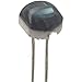 Luna Optoelectronics SLD-70BG2A Photo Diode Planar Clear Epoxy Dome Package 55 muA (Typ.) 0.40 V (Typ.)