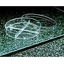 X Style Petri Dishes Disposable Sterile Polystyrene