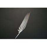 UnitedStatesofAmericaFoundingDocuments-DeclarationofIndependence,ParisTreatyof1783,ArticlesofConfederation,USConstitution,BillofRights,...andundertheU.S.Constitution