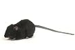 Black Mouse Stuffed Animal Plush Toy By Hansa 5" L