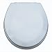 Trimmer Metallic-Finish Wood Toilet Seat Cover - Silver