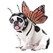 Butterfly Pet Costume (Medium)