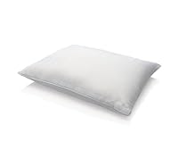 Cheap Tempur Pedic Traditional Pillow Standard Size Tempurpedic