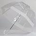 Clear Bubble Umbrellas White Trim