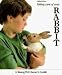 Taking Care of Your Rabbit (A Young Pet Owner's Guide)