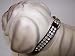 Kitchen & Housewares : Heidi Vinyl Dog Collar 10in Black 94P