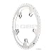 FSA Super Road 53t 130mm Campy 11sp Gray