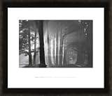 Morning Harding Park, San Francisco 2002 Framed with Black Wood Frame 24 x 20 inches