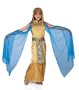 cleopatra costume