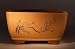 Bonsai Boy's Ceramic Bonsai Pot <br>Unglazed Square with Etching