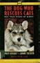 Dog Who Rescues Cats