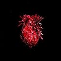More Heart Than Brains