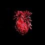 More Heart Than Brains