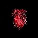 More Heart Than Brains