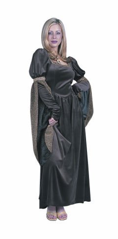 Womens Camelot Renaissance Dress Halloween Costume