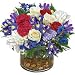 Flowers - Breathtaking Blossoms