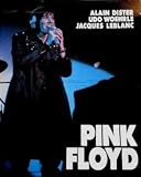 Pink Floyd (Rock et folk) (French Edition)
