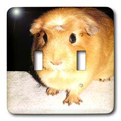 Guinea Pig - Guinea Pig - Light Switch Covers - double toggle switch